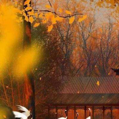迷你地铁无限车厢破解版下载
